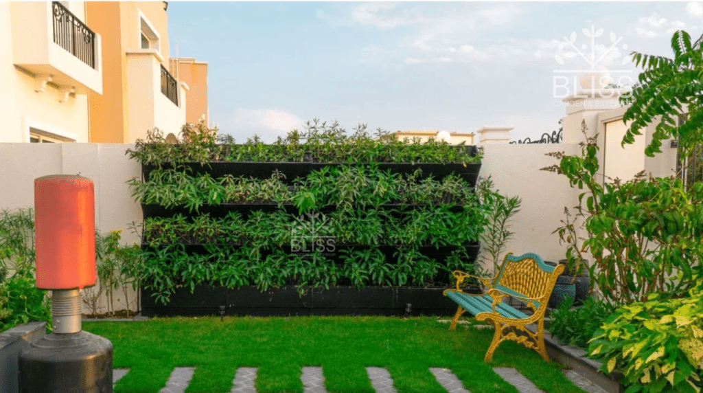 Vertical Gardens: Everything You Need to Know